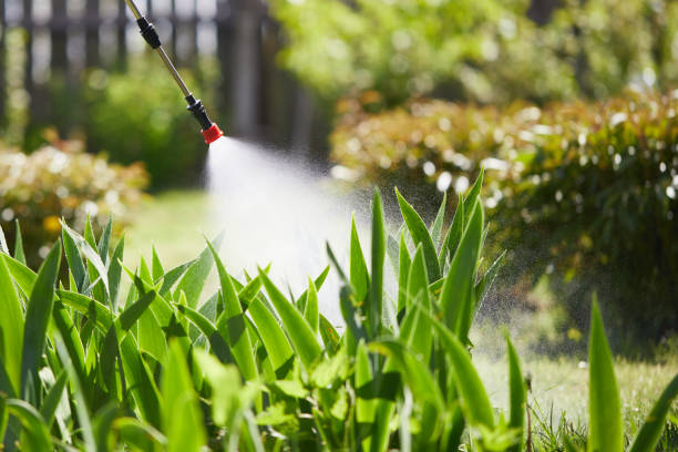 24/7 Emergency Bed Bug Control experts in Druid Hills, GA