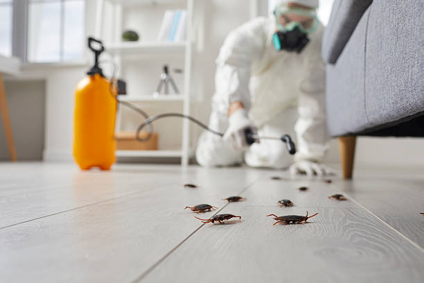 Trusted Rodent Control service in Druid Hills, GA - Nex Pest Control
