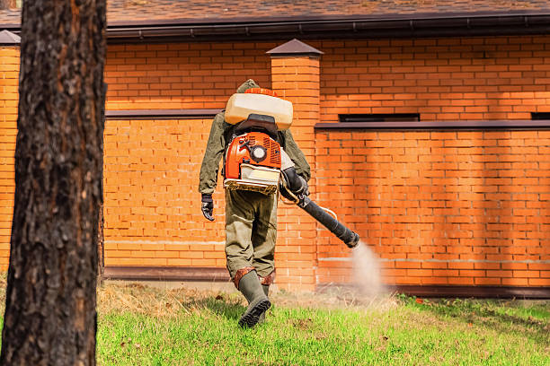 Trusted Bed Bug Control service in Druid Hills, GA - Nex Pest Control
